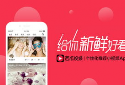 西瓜视频网页,短视频新潮流，轻松畅享精彩内容